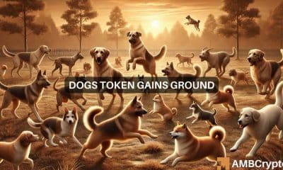 El rápido ascenso del token DOGS: qué nos dice el número de titulares