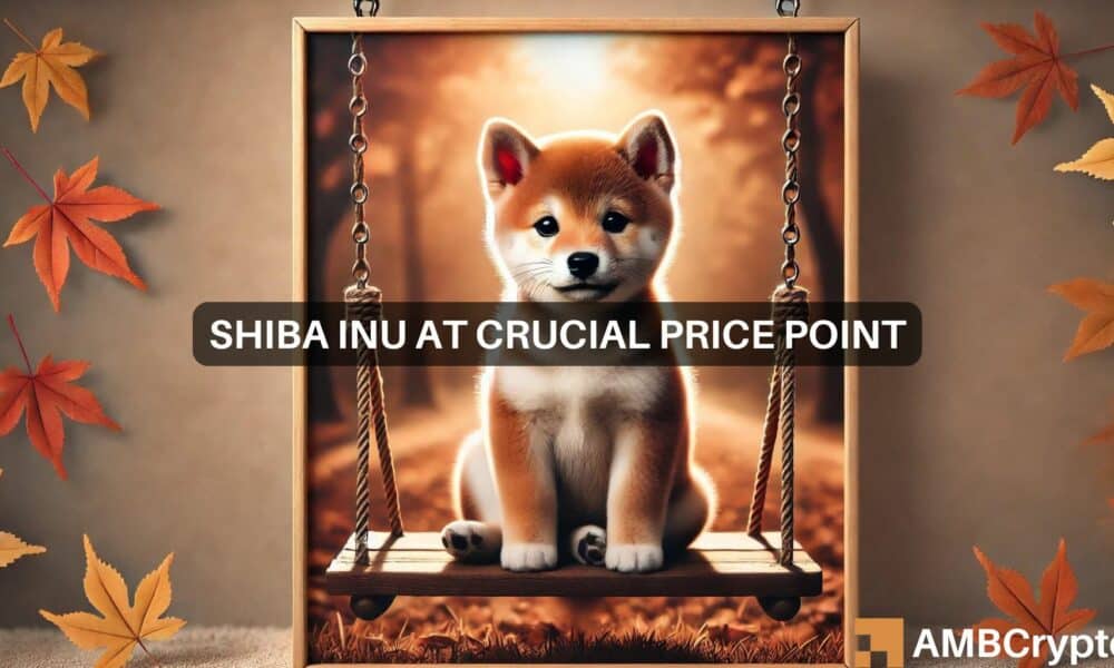 Explorando el potencial aumento del 300% de Shiba Inu a medida que los traders compran