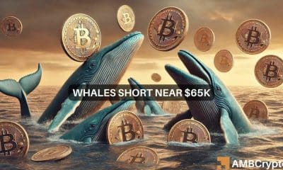 Las ballenas reanudan las posiciones cortas de Bitcoin a $65,000: seguimiento del próximo movimiento de BTC