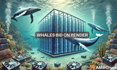 Las ballenas compran 20 millones de tokens RENDER en 3 meses: ¿Qué sigue?