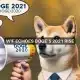 WIF sube un 14%: ¿es probable que se repita la tendencia alcista de Dogecoin de 2021?