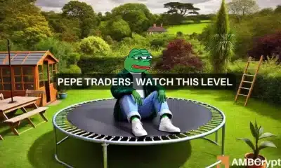 La ruptura de Pepe: ¿podría superar a DOGE y SHIB?