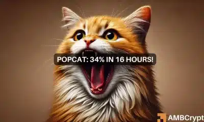 POPCAT sube cerca del 35% en un día, pero surgen señales preocupantes