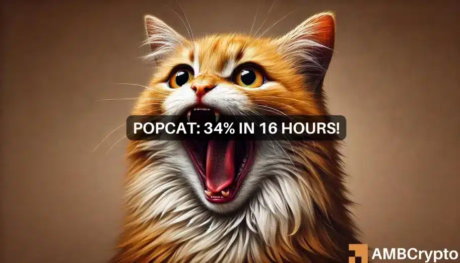 POPCAT sube cerca del 35% en un día, pero surgen señales preocupantes