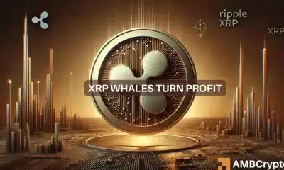 XRP supera los $ 0,60: cómo las ballenas ayudaron al aumento