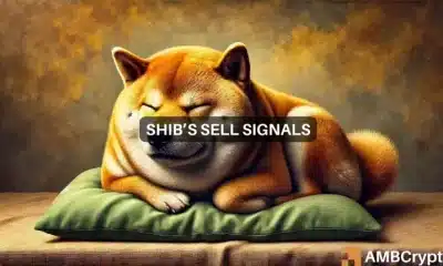 Shiba Inu: La presión de venta se cierne sobre SHIB después de las recientes ganancias. ¿Qué pasa ahora?