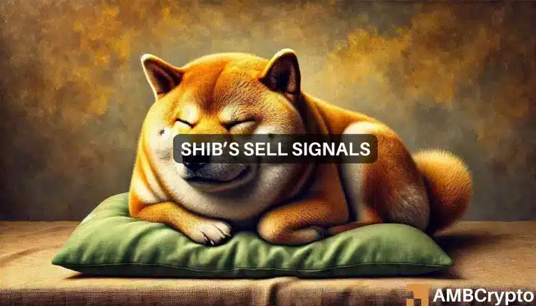 Shiba Inu: La presión de venta se cierne sobre SHIB después de las recientes ganancias. ¿Qué pasa ahora?