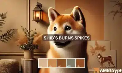 Las quemaduras de Shiba Inu aumentan, pero esta es la razón por la que SHIB se mantiene por debajo de niveles cruciales