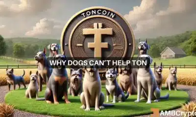 El airdrop de DOGS ayuda a la actividad de Toncoin, pero el precio de TON cae: ¿por qué?