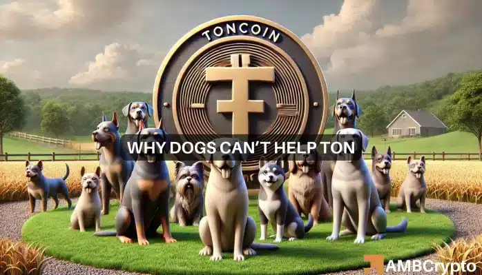 El airdrop de DOGS ayuda a la actividad de Toncoin, pero el precio de TON cae: ¿por qué?