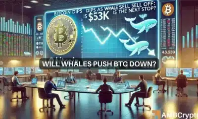 Bitcoin cae mientras las ballenas se retiran: ¿$53.000 es la próxima parada?