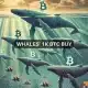 Las ballenas de Bitcoin continúan impactando a BTC en medio de un movimiento de 1K tokens