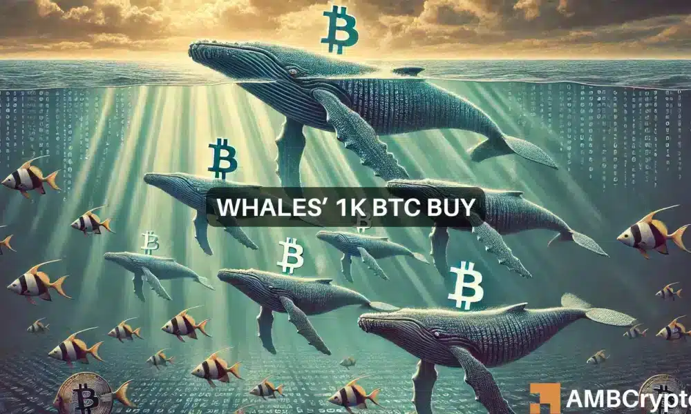 Las ballenas de Bitcoin continúan impactando a BTC en medio de un movimiento de 1K tokens