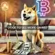 Dogecoin rompe la resistencia clave: ¿Es inevitable un aumento a 0,150 dólares?