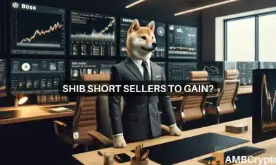 Shiba Inu: Las tendencias del mercado sugieren un camino difícil por delante para los comerciantes de SHIB