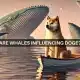 Las ballenas Dogecoin compran mil millones de DOGE: ¿es suficiente para impulsar un repunte?