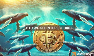 Las ballenas Bitcoin aumentan a los niveles de 2021: ¿llevará esto a BTC a un nuevo ATH?