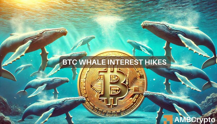 Las ballenas Bitcoin aumentan a los niveles de 2021: ¿llevará esto a BTC a un nuevo ATH?