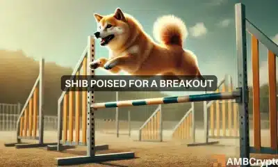 Shiba Inu apunta a un repunte del 40% a medida que BTC se acerca a ATH: los datos en cadena sugieren...