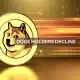 Los poseedores de Dogecoin caen, pero DOGE aumenta un 14%: examinando el cambio