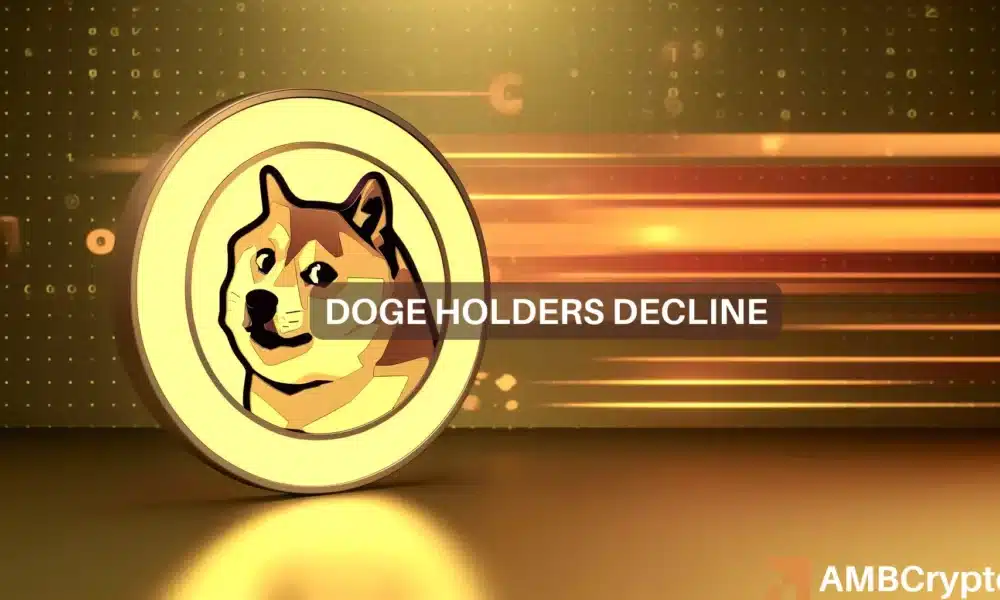 Los poseedores de Dogecoin caen, pero DOGE aumenta un 14%: examinando el cambio