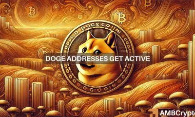 Tendencia de Dogecoin en octubre: ¿Usuarios más activos, precios más altos?