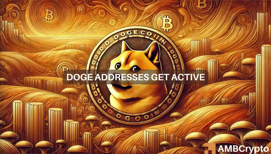 Tendencia de Dogecoin en octubre: ¿Usuarios más activos, precios más altos?