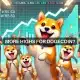 Pista de cruce MACD de Dogecoin: ¿DOGE volverá a subir un 180%?