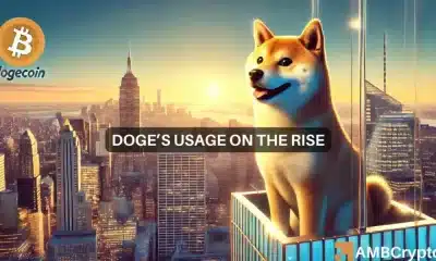 El uso de Dogecoin alcanza ESTE hito importante: ¿Cómo se beneficiará DOGE?