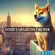 El uso de Dogecoin alcanza ESTE hito importante: ¿Cómo se beneficiará DOGE?