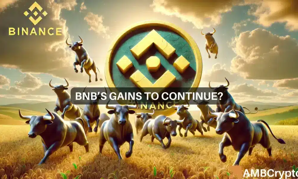 BNB prevé una ruptura: ¿el sentimiento alcista ayudará a la altcoin?