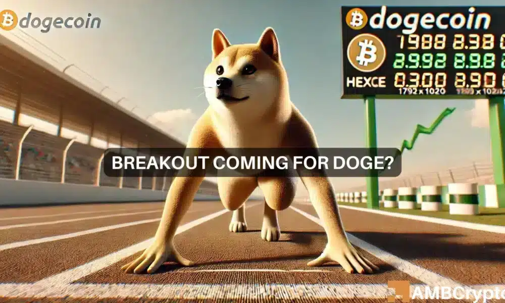 Dogecoin aumenta un 19%: ¡aquí hay 3 razones por las que los analistas esperan más ganancias!