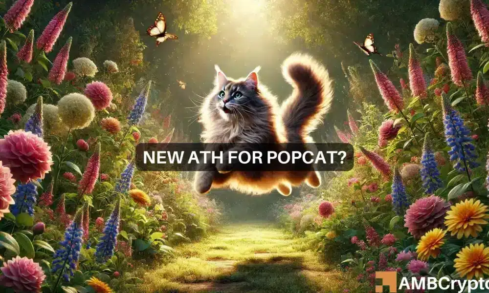 Popcat aumenta un 20% en 24 horas y alcanza un nuevo ATH – ¿Y ahora qué?