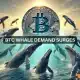 Analizando el aumento de Bitcoin: el impacto de las ballenas, las inversiones institucionales