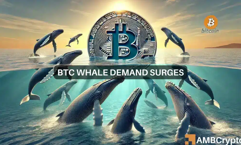 Analizando el aumento de Bitcoin: el impacto de las ballenas, las inversiones institucionales