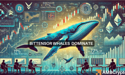 Las ballenas bittensoras dominan con el 77% de las posiciones largas: ¿Impacto en TAO?