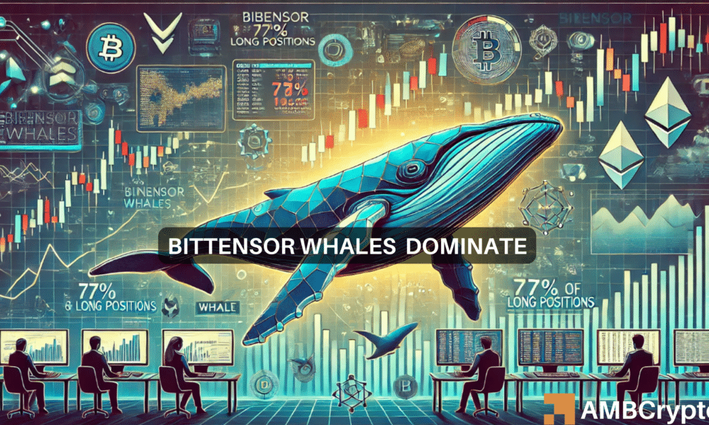 Las ballenas bittensoras dominan con el 77% de las posiciones largas: ¿Impacto en TAO?