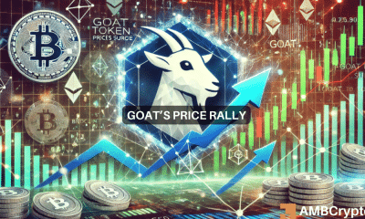 Whale compra GOAT por valor de 2,41 millones de dólares: ¿continuará el revuelo?