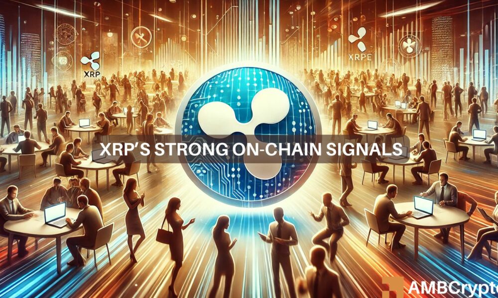 Ripple ve un aumento del 100% en nuevas direcciones: ¿Cómo afectará a XRP?