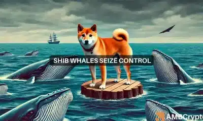 Las ballenas Shiba Inu muestran cautela: ¿Podría ser este el fondo del mercado de SHIB?