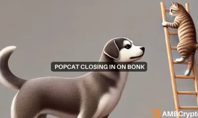 Por qué 2 dólares es la clave para el dominio de POPCAT sobre BONK