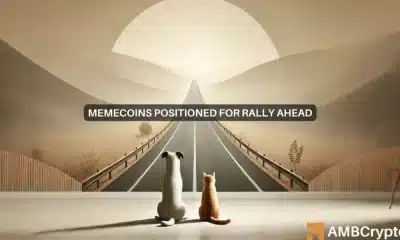 ¿Auge de las memecoins? ¡Por qué estos tokens podrían recuperarse este noviembre!