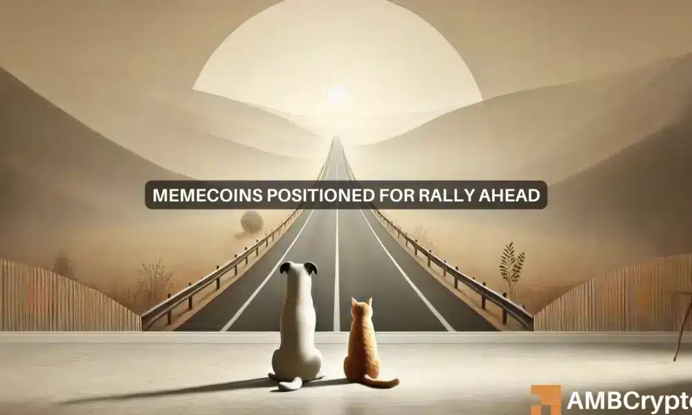 ¿Auge de las memecoins? ¡Por qué estos tokens podrían recuperarse este noviembre!