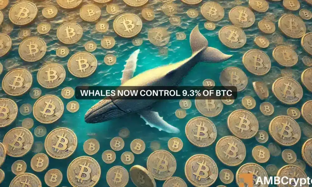 Las ballenas Bitcoin acumulan 2 millones de BTC: ¿Esto indica un fondo del mercado?