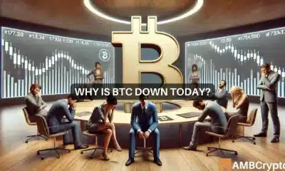 Por qué Bitcoin ha caído hoy: el exceso de confianza del mercado provoca una caída