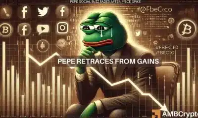 A medida que el revuelo social de Pepe se desvanece, ¿qué sigue en cuanto a precio?