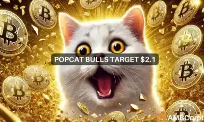 Popcat subió un 23% en 3 días y apunta a ESTE nivel de precios a continuación