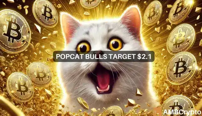 Popcat subió un 23% en 3 días y apunta a ESTE nivel de precios a continuación