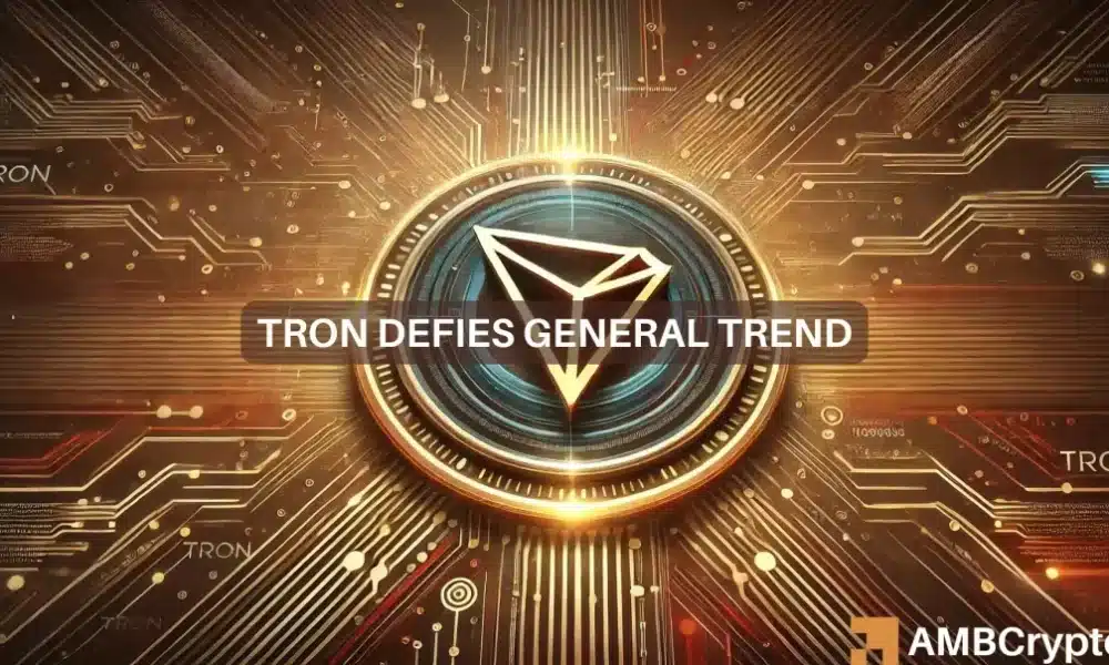 Las grandes transacciones de TRON alcanzaron el máximo de 2 meses: ¿más ganancias para TRX?