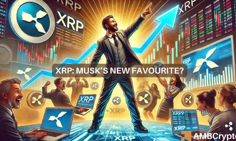 La actividad de XRP Ledger aumenta en medio de los comentarios de "libertad individual" de Musk